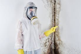 Best Water Damage & Mold Remediation  in Milwaukee, WI